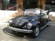 Volkswagen Maggiolone Cabrio (Vetro piatto)