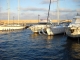 Ars Monaco Ars Mare 38 fly		