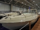 Ilver Thesi 34