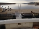 Ars Monaco Ars Mare 38 fly		